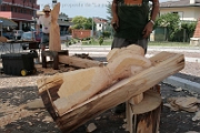 Sculture_Cavino_ 2009 (48)